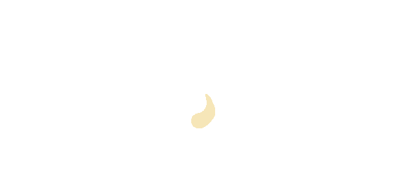 卡塔爾世界杯足球場事故__卡塔爾世界杯專用足球
