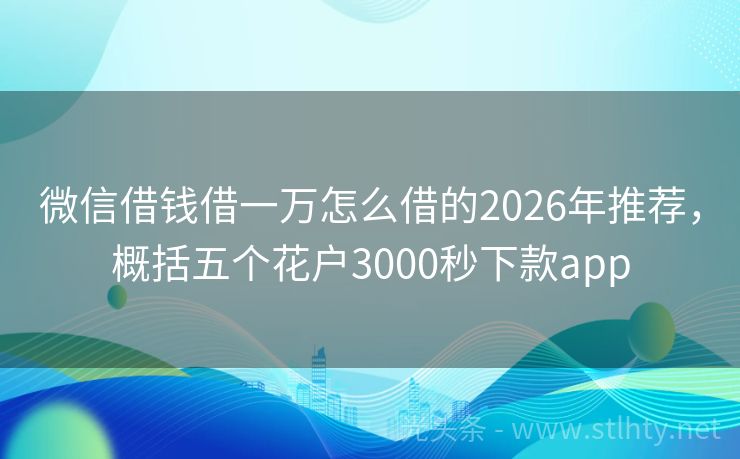 微信借錢借一萬怎么借的2026年推薦,概括五個花戶3000秒下款app