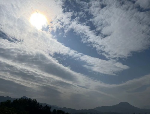 世界杯歷史射手榜排名