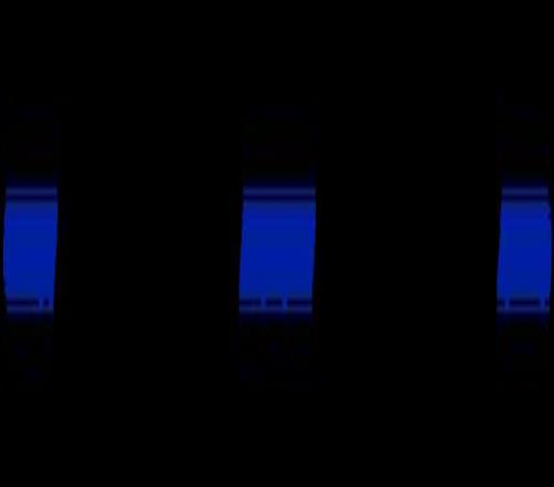 拉齊奧意甲比賽戰(zhàn)報(bào)_意甲聯(lián)賽勞塔羅傳射建功_意甲聯(lián)賽獎(jiǎng)杯
