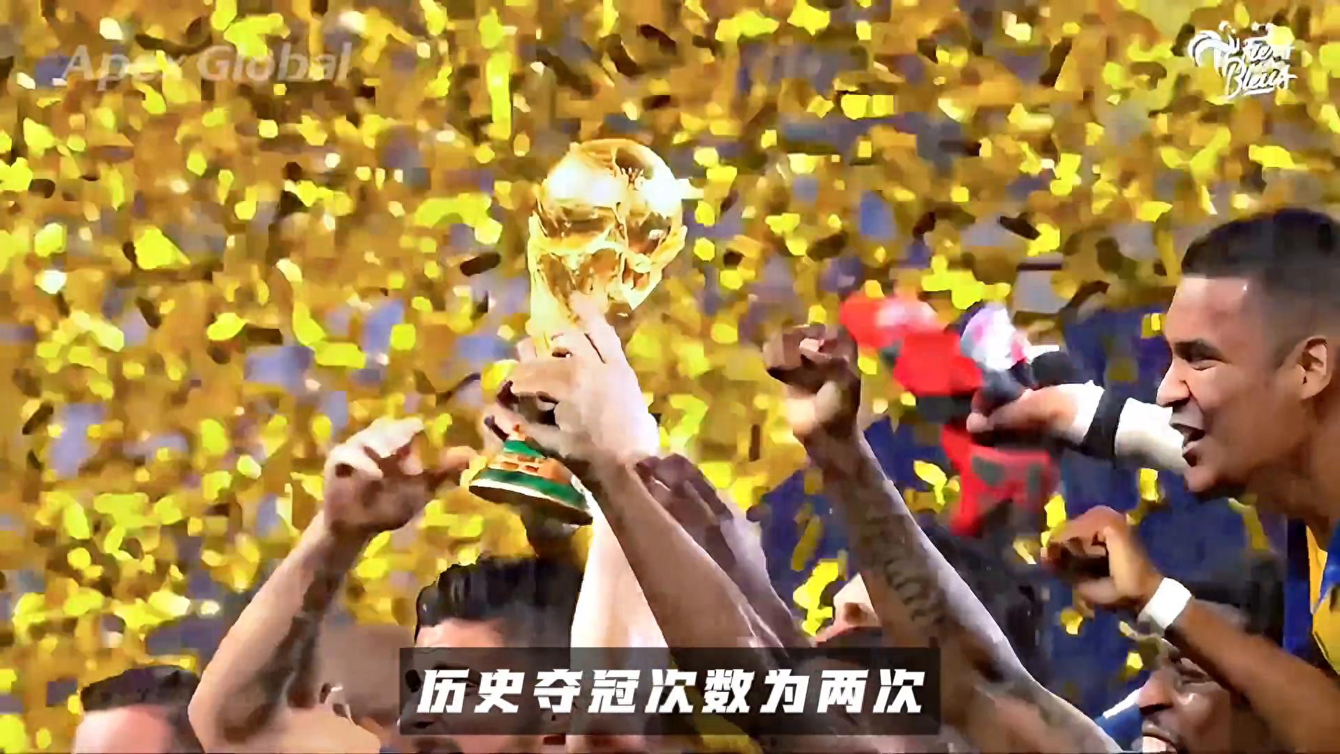 世界杯奪冠次數(shù)前五國家隊 #法國