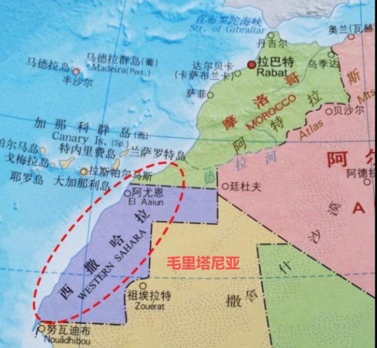 世界杯歷史第一支打進淘汰賽階段的非洲球隊_摩洛哥最不像非洲的國家_摩洛哥世界杯四強