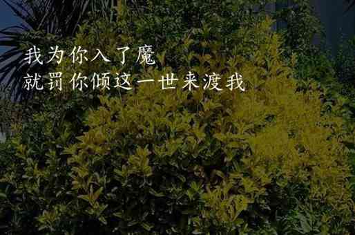 西甲一共多少輪 西甲聯(lián)賽一共幾輪